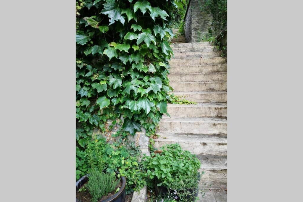 Apartament La Belle Vigne Namur Zewnętrze zdjęcie