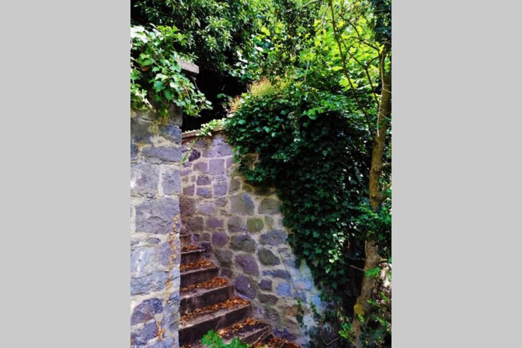Apartament La Belle Vigne Namur Zewnętrze zdjęcie