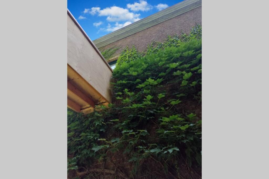 Apartament La Belle Vigne Namur Zewnętrze zdjęcie