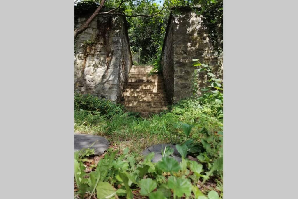 Apartament La Belle Vigne Namur Zewnętrze zdjęcie